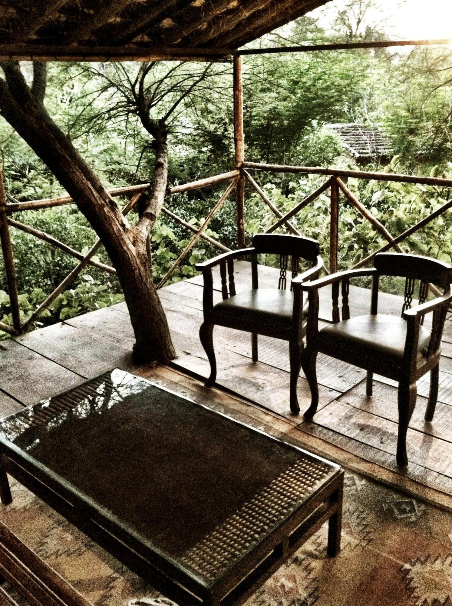 The Tree House Resort Dźajpur Zewnętrze zdjęcie